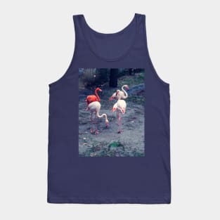 Pink and red flamingos Tank Top